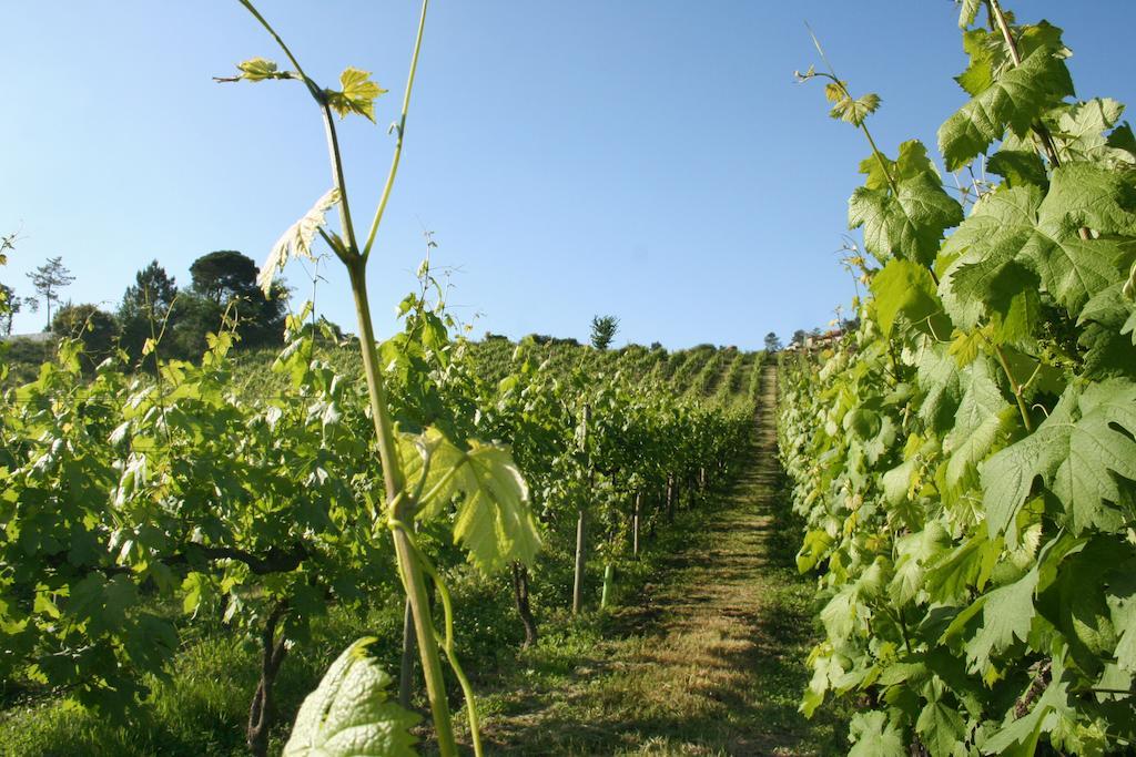 Pensjonat Quinta De Lourosa Lousada Zewnętrze zdjęcie