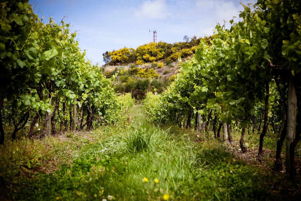 Pensjonat Quinta De Lourosa Lousada Zewnętrze zdjęcie